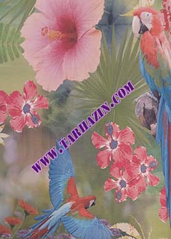 کاغذدیواری رینبو_کاغذدیواری مدرن