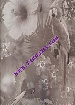 کاغذدیواری رینبو_کاغذدیواری مدرن